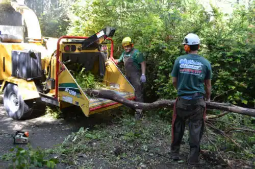 tree services Soda Springs